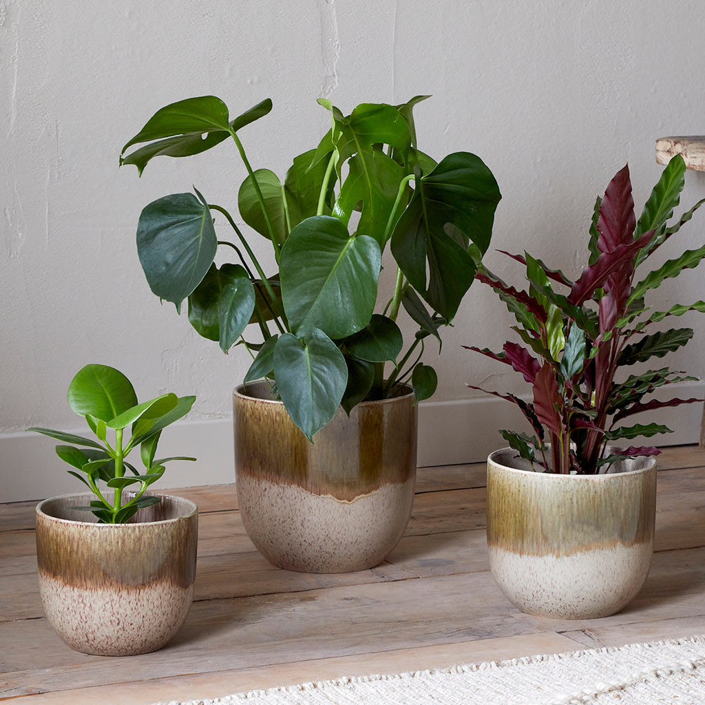 contemporary plant pots uk Almeida Glazed Plant Pot — Kayu Home