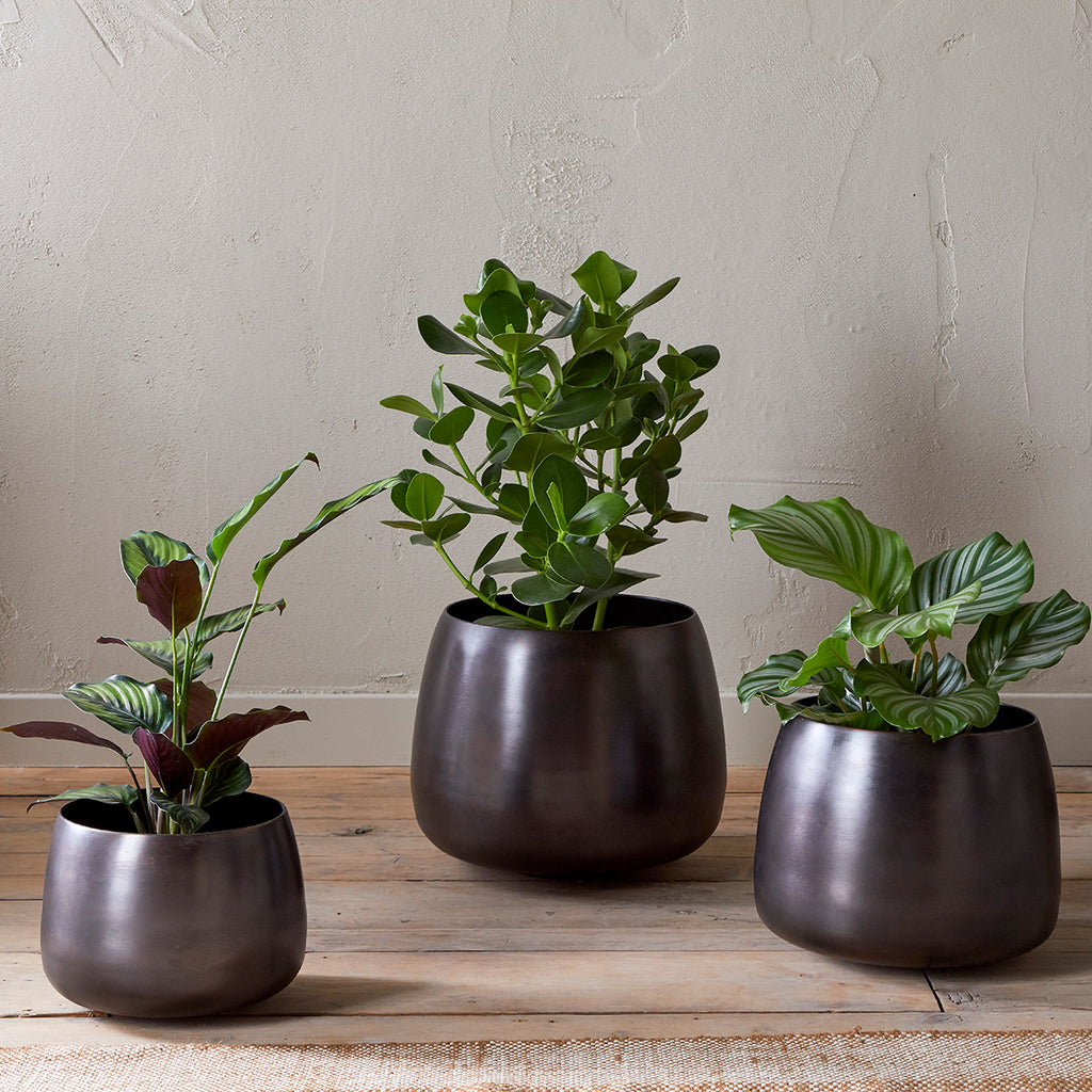 large indoor plant pots uk Maliki Plant Pot, Aged Bronze