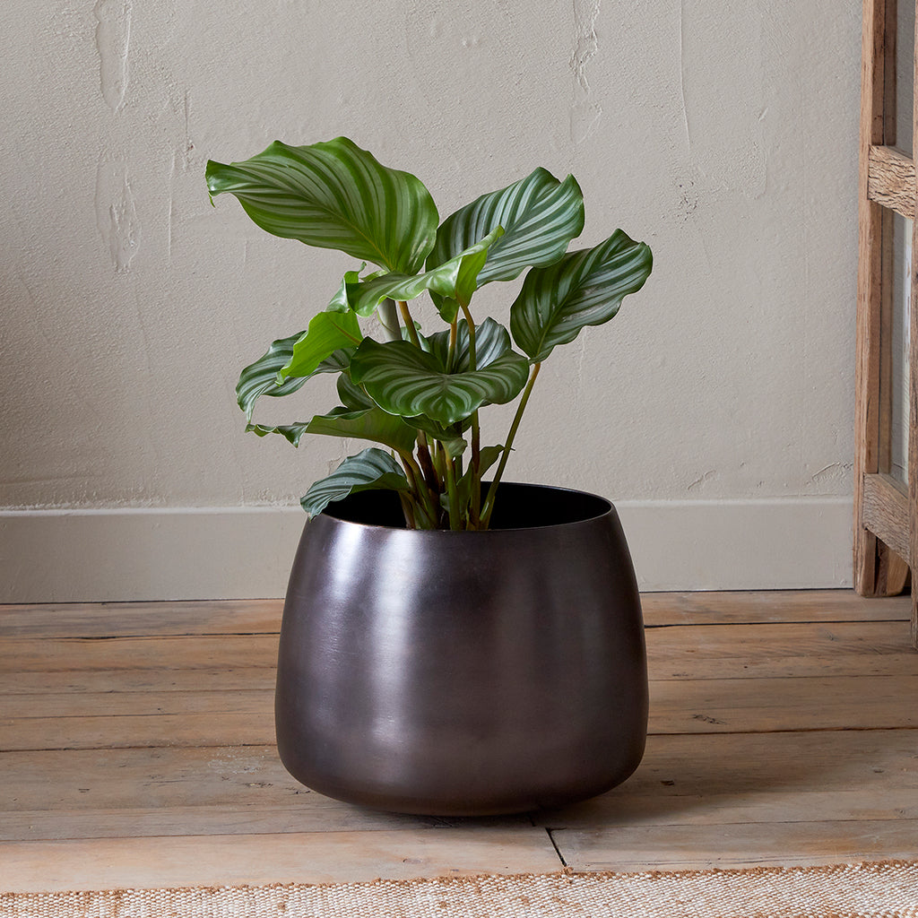 tall indoor plant pots uk Maliki Plant Pot, Aged Bronze — Kayu Home