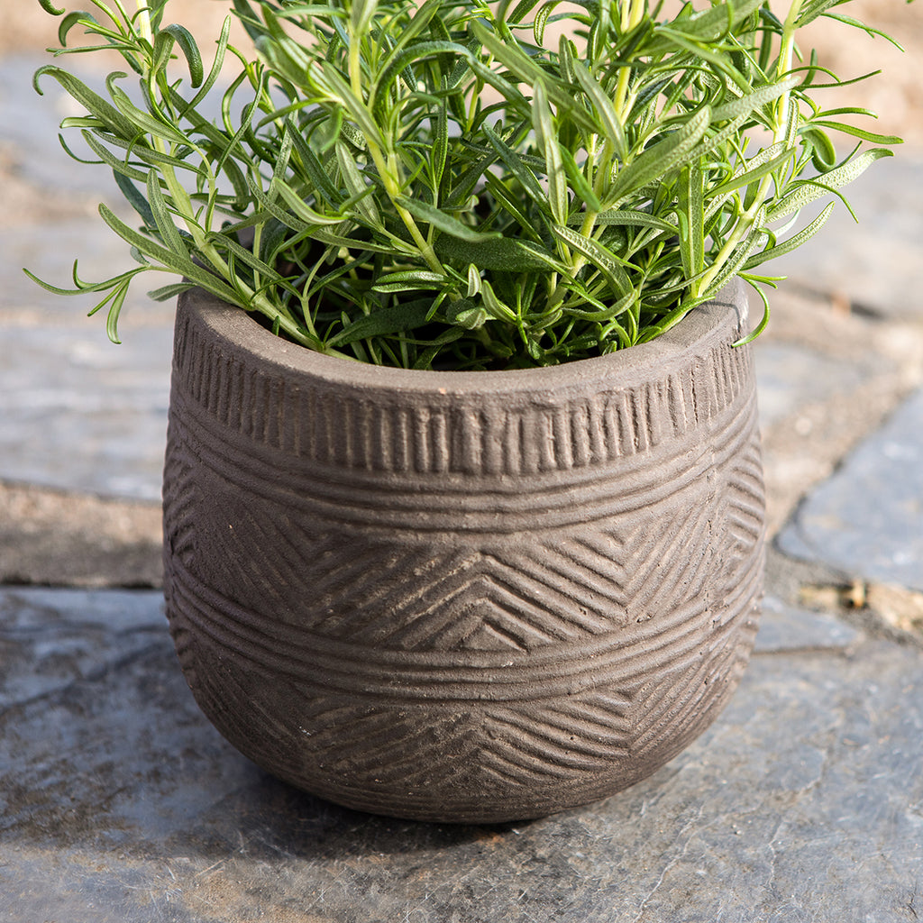SRL BRIMTYPE PLANT POT-S valiem カタチ製作所 BRIDGE-lifestyle-06.jpg