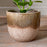 Almeida Glazed Plant Pot