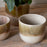 Almeida Glazed Plant Pot