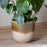 Almeida Glazed Plant Pot, Large