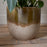 Almeida Glazed Plant Pot