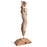 Vintage Indian Yali Carving