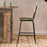 Iswa Leather and Cane Counter Chair, Green