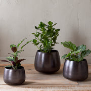Maliki Plant Pot, Aged Bronze