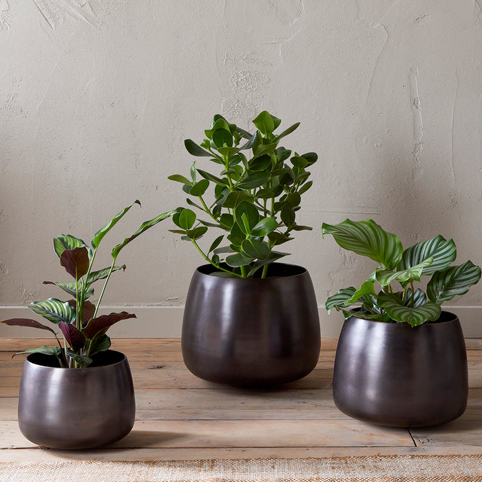 bronze pot plant Maliki Plant Pot, Aged Bronze