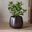 Maliki Plant Pot, Aged Bronze