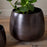 Maliki Plant Pot, Aged Bronze