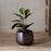 Maliki Plant Pot, Aged Bronze