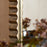 Juhli Arched Mirror, Aged Antqiue Brass