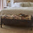 Barir Mango Wood Upholstered Storage Bench