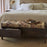 Barir Mango Wood Upholstered Storage Bench