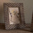 Janoni Mango Wood Picture Frame 
