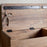 Teni Reclaimed Wood Storage Bench