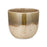 Almeida Glazed Plant Pot