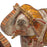 Carved Painted Wooden Elephants