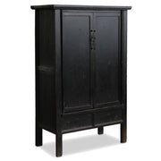 Dark Elm Storage Cabinet