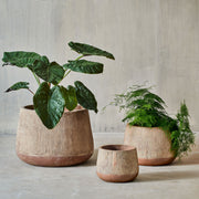 Wampu Wide Planter, Terracotta