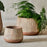 Wampu Wide Planter, Terracotta