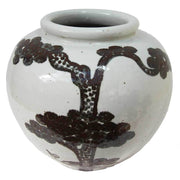 White Ginger Jars