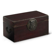 Chinese Antique Wooden Camphor Box