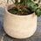 Zadie Etched Planters, Natural