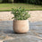Zadie Etched Planter, Natural, Small